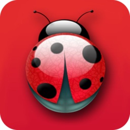 農(nóng)管家七星瓢蟲老板本