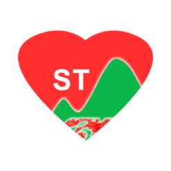 石臺(tái)脫貧監(jiān)管