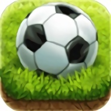 咸魚游戲champion eleven