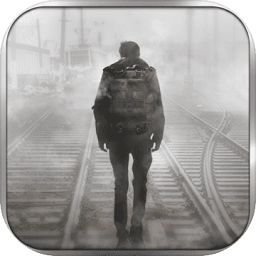 代號(hào)z內(nèi)購