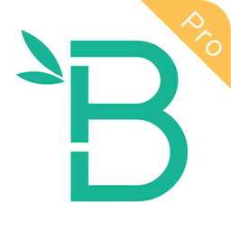 班步專業(yè)版