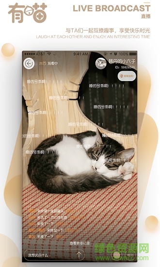 有喵云養(yǎng)貓 v1.1.1 安卓版 1