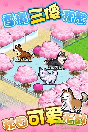 發(fā)現(xiàn)狗狗樂園游戲 v1.00 安卓版 1