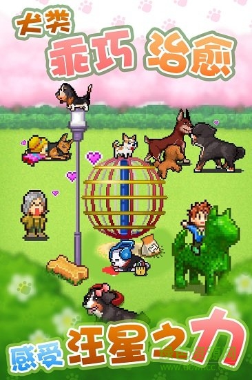 發(fā)現(xiàn)狗狗樂園游戲 v1.00 安卓版 3