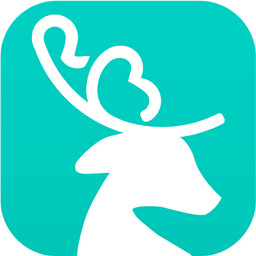 快付快賠(快處易賠)