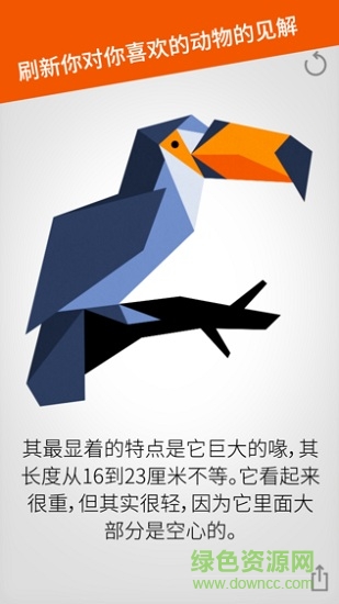 cardinal land手機(jī)版 紅雀之地安卓版