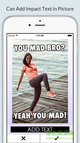 DUMB圖片加文字 v1.2.0 安卓版 1