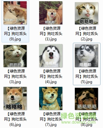 吐舌頭表情包gif