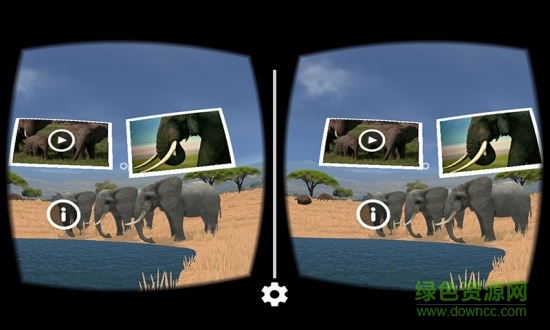 小v博士國(guó)家地理野生動(dòng)物 v1.0.0 安卓版 1