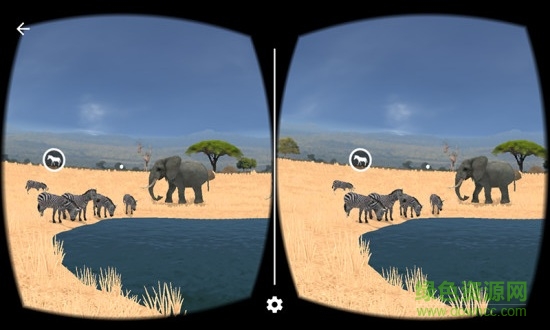 小v博士國(guó)家地理野生動(dòng)物 v1.0.0 安卓版 3