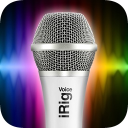 ez voice漢化app
