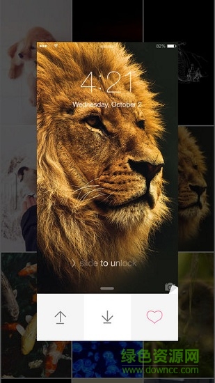 大千壁紙手機(jī)版 v1.0 安卓版 3