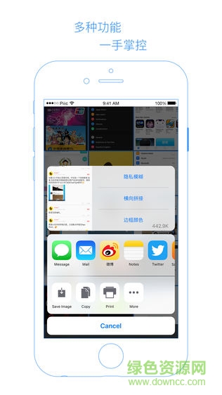 Piiic 2拼長圖ios版 v1.0.1 iphone手機(jī)版 1