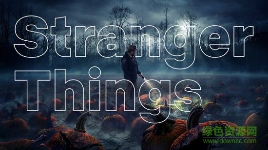 netflix sans系列下載 netflix sans字體合集