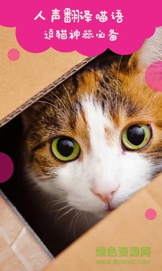 貓語翻譯手機(jī)版 v2.0.2 安卓版 1