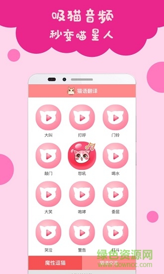 貓語翻譯手機(jī)版 v2.0.2 安卓版 2