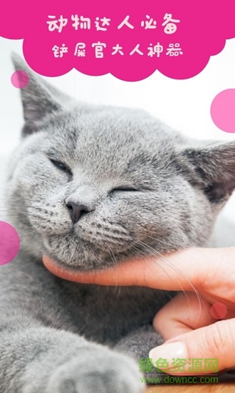 貓語翻譯手機(jī)版 v2.0.2 安卓版 3