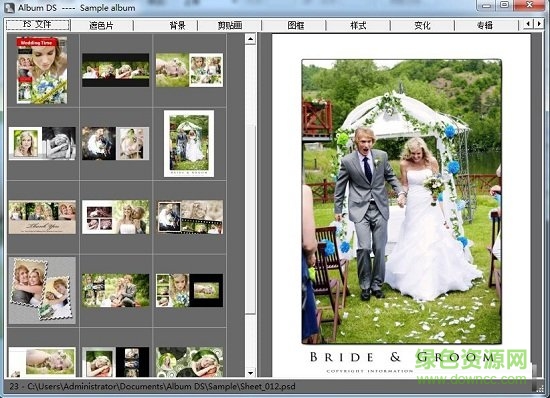 album ds漢化版 album ds插件