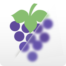 朦朧效果軟件(模糊濾鏡)