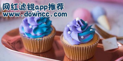 網(wǎng)紅都用什么濾鏡軟件?網(wǎng)紅濾鏡軟件排行榜-網(wǎng)紅必備濾鏡軟件