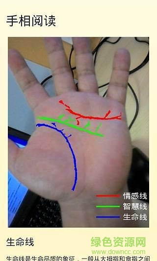 看手相算命軟件(手相神算) v1.4 安卓免費(fèi)版 1