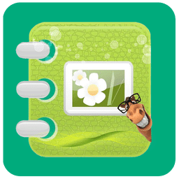 動感相冊影集制作手機(jī)軟件