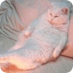 貓咪jio冷烤火表情包