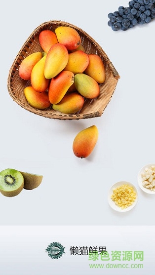 懶貓鮮果 v1.0 安卓版 0