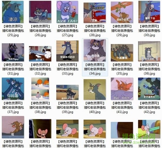 貓和老鼠搞笑表情包gif 系列完整版 0