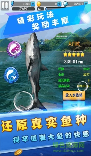 天天愛釣魚手游 v2.0 安卓版 2