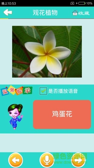 看圖識花軟件 v3.9  安卓版 0