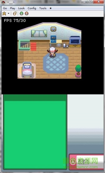 口袋妖怪心金魂銀493補(bǔ)丁 v1.2 漢化版 1