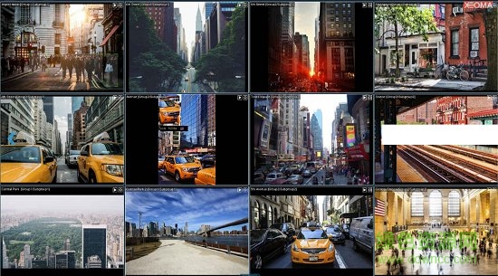 xeoma安卓 xeomaapp