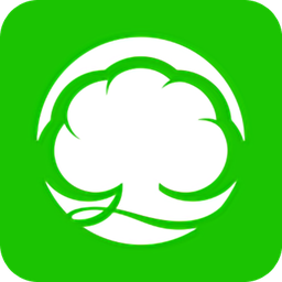 大槐樹電商平臺