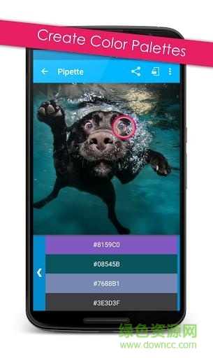 pipette安卓版