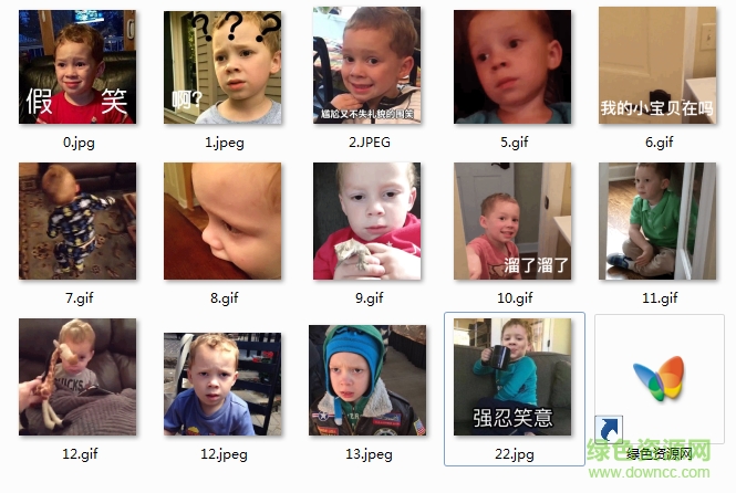 gavin微信動(dòng)態(tài)表情包 gavin thomas表情包