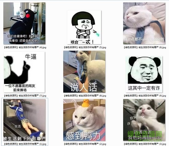 被生活剝下所有尊嚴表情包大全 被生活剝下所有尊嚴表情包