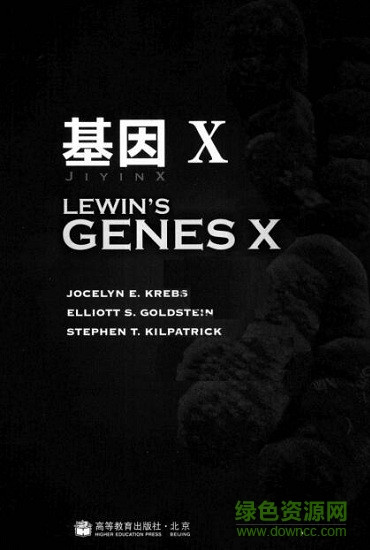 lewin基因x中文版pdf