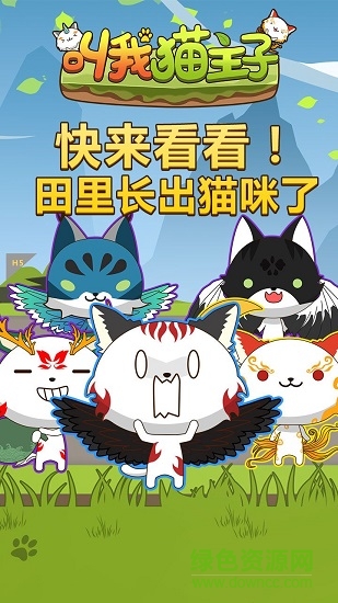 叫我貓主子h5 v1.0 安卓最新版 1