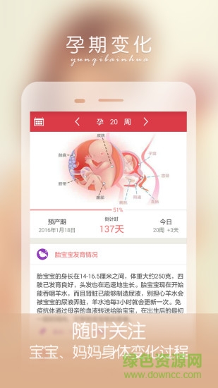 手機(jī)孕婦伴侶軟件 孕婦伴侶app