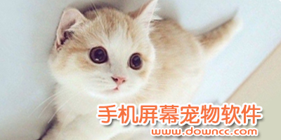 手機(jī)屏幕寵物
