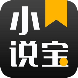 小說(shuō)寶