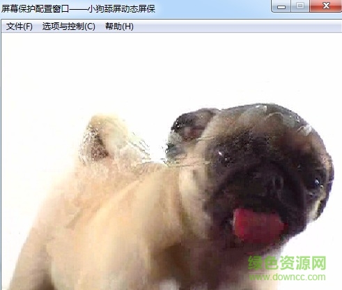 小狗舔屏電腦動態(tài)壁紙