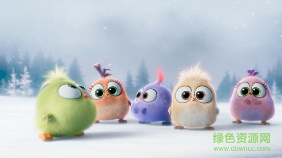 憤怒的小鳥舔屏壁紙 憤怒的小鳥動態(tài)壁紙