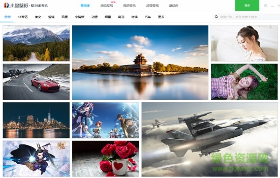 小鳥壁紙正式版