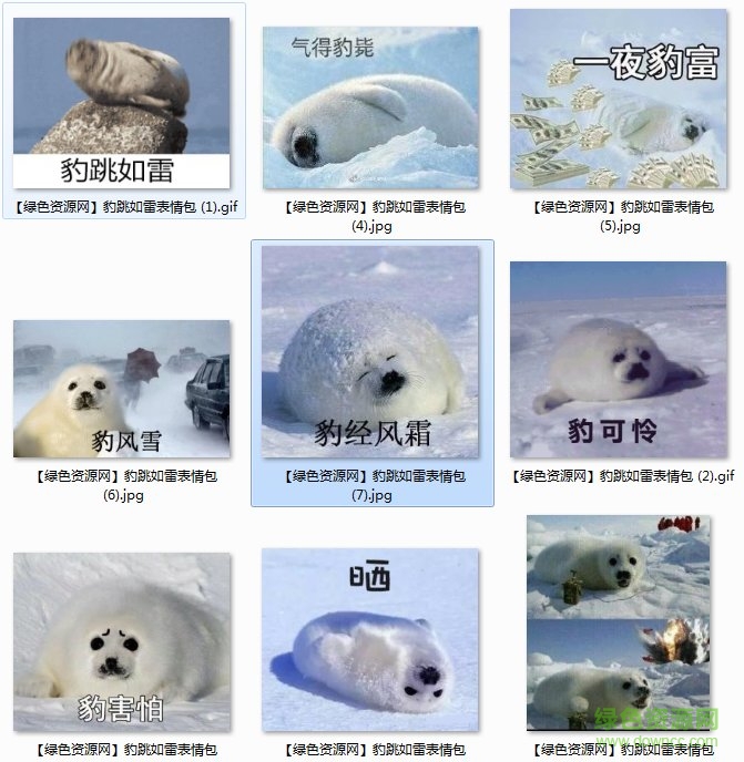 豹跳如雷表情包安卓版 豹跳如雷表情包gif