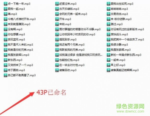 我是渣渣輝語音包