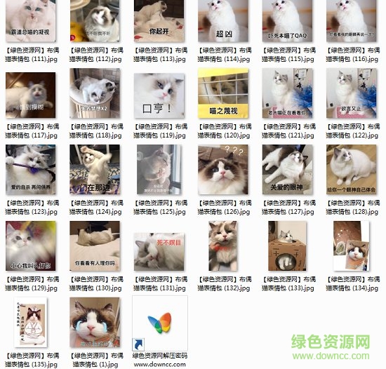 布偶貓表情包動(dòng)圖  2