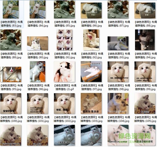 布偶貓表情包動(dòng)圖  3