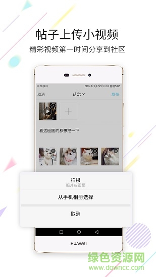 看永城 v3.3.1 安卓版 0